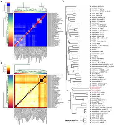 Distribution, characterization, and evolution of heavy metal resistance genes and Tn7-like associated heavy metal resistance Gene Island of Burkholderia